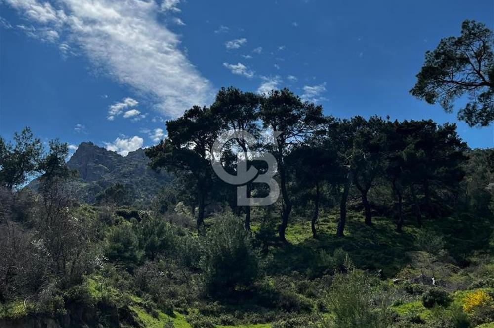 İzmir Bergama Yola Cepheli 4637 M2 Acil Fırsat Satılık Tarla