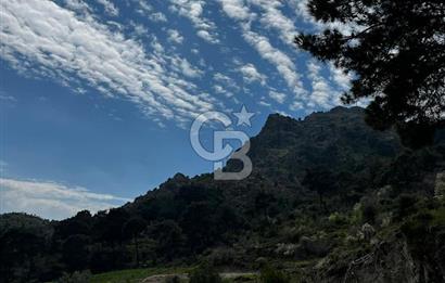 İzmir Bergama Yola Cepheli 4637 M2 Acil Fırsat Satılık Tarla