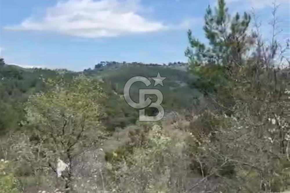 İzmir Bergama Yola Cepheli 4637 M2 Acil Fırsat Satılık Tarla