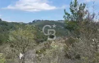 İzmir Bergama Yola Cepheli 4637 M2 Acil Fırsat Satılık Tarla