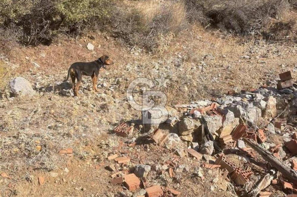 İzmir Bergama Merkeze Yakın İmarlı Fırsat Satılık Arsa
