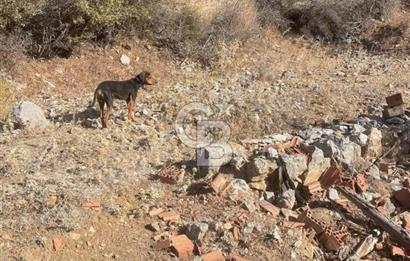 İzmir Bergama Merkeze Yakın İmarlı Fırsat Satılık Arsa