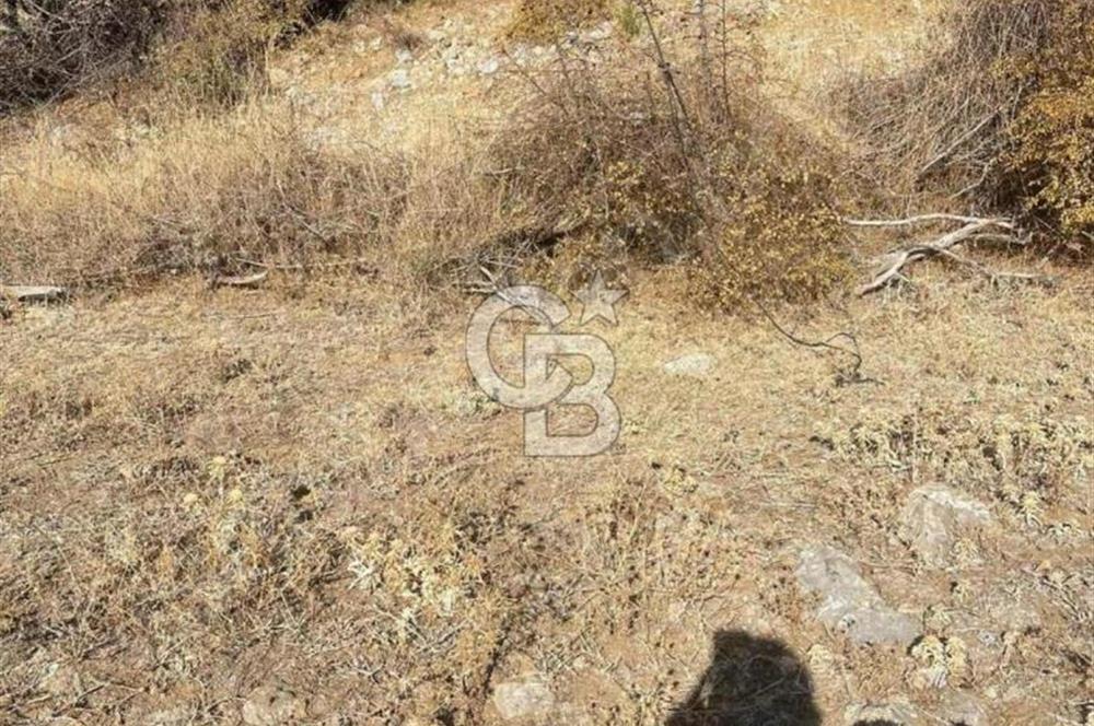 İzmir Bergama Merkeze Yakın İmarlı Fırsat Satılık Arsa