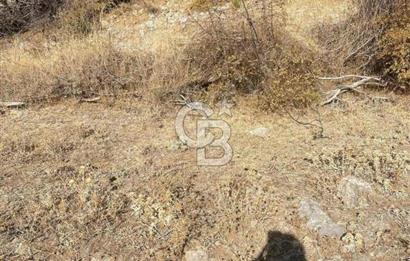 İzmir Bergama Merkeze Yakın İmarlı Fırsat Satılık Arsa