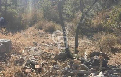 İzmir Bergama Merkeze Yakın İmarlı Fırsat Satılık Arsa