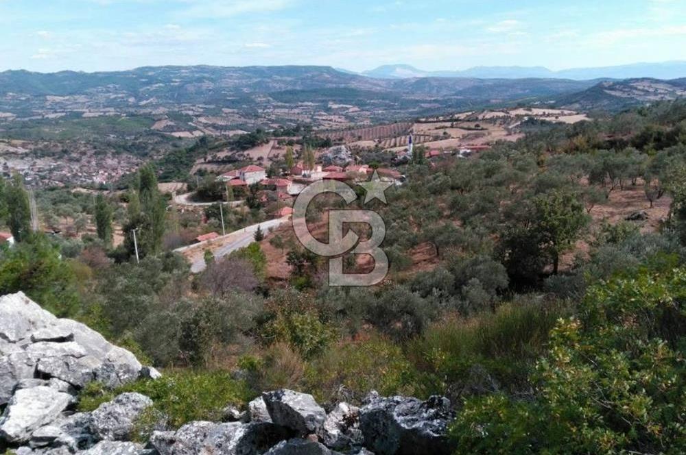 İzmir Bergama Merkeze Yakın İmarlı Fırsat Satılık Arsa