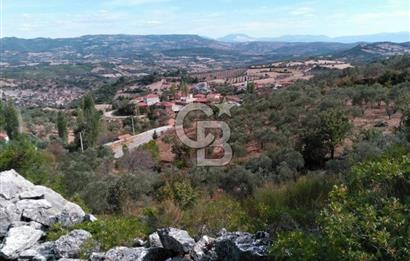 İzmir Bergama Merkeze Yakın İmarlı Fırsat Satılık Arsa