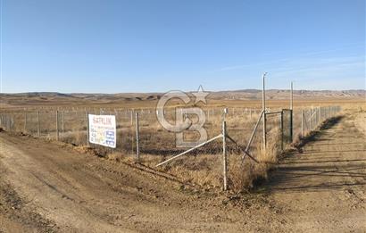 Polatlı Hacıtuğrul'da Eskişehir Yolu Cepheli 897 m² Arsa Fırsatı