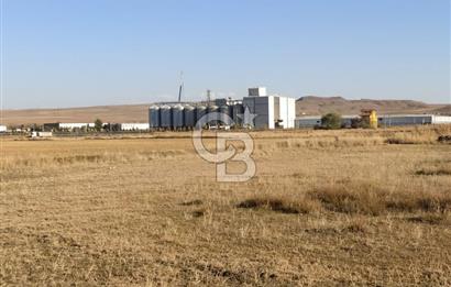 Polatlı Hacıtuğrul'da Eskişehir Yolu Cepheli 897 m² Arsa Fırsatı