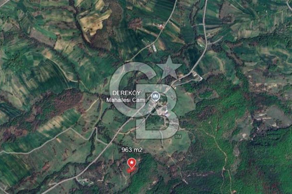 KOCAELİ KÖRFEZ DEREKÖY’DE 963 m² SATILIK ARSA | DOĞA İÇİNDE FIRSAT