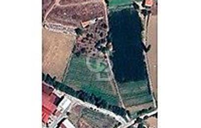 Manisa Kulada Anayol Cepheli Satılık Arazi Ve 2 Ev