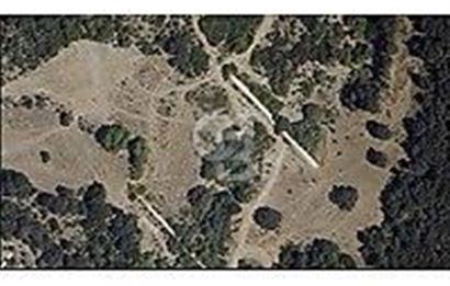 TEKİRDAĞ , ŞARKÖY, MURSALLI'DA TEK TAPULU 2311 M2 TARLA