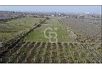 İZMİR KEMALPAŞA ARMUTLU'DA ANA YOLA 2 PARSEL TEK TAPU SATILIK - 12 - 345930