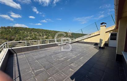 AKPINAR MAH. SATILIK 5+1 DUBLEKS ORMAN MANZARALI KÖK TAPU