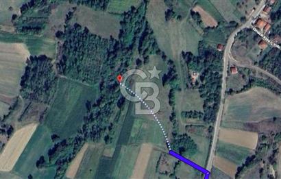 KOCAELİ KANDIRA ELMACIK KÖYÜ 1286 M2 OSB YANINDA SATILIK TARLA