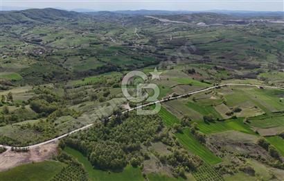 KOCAELİ KANDIRA ELMACIK KÖYÜ 1286 M2 OSB YANINDA SATILIK TARLA