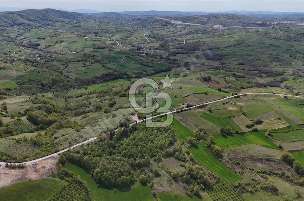 KOCAELİ KANDIRA ELMACIK KÖYÜ 1286 M2 OSB YANINDA SATILIK TARLA