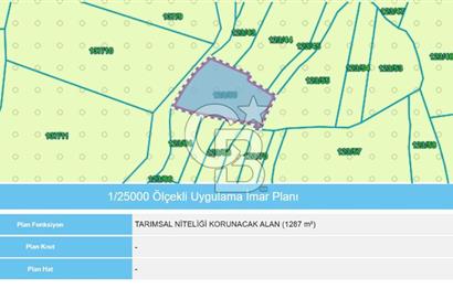 KOCAELİ KANDIRA ELMACIK KÖYÜ 1286 M2 OSB YANINDA SATILIK TARLA