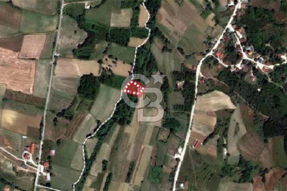 KOCAELİ KANDIRA ELMACIK KÖYÜ 1286 M2 OSB YANINDA SATILIK TARLA