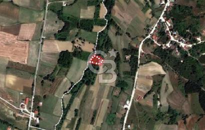 KOCAELİ KANDIRA ELMACIK KÖYÜ 1286 M2 OSB YANINDA SATILIK TARLA