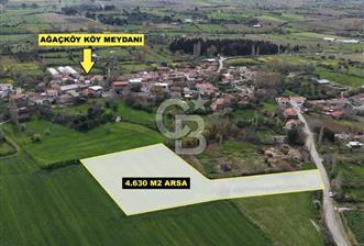 Bayramiç ağaçköyde köy içi imarlı 4630 m2 arsa - 4 - 345964