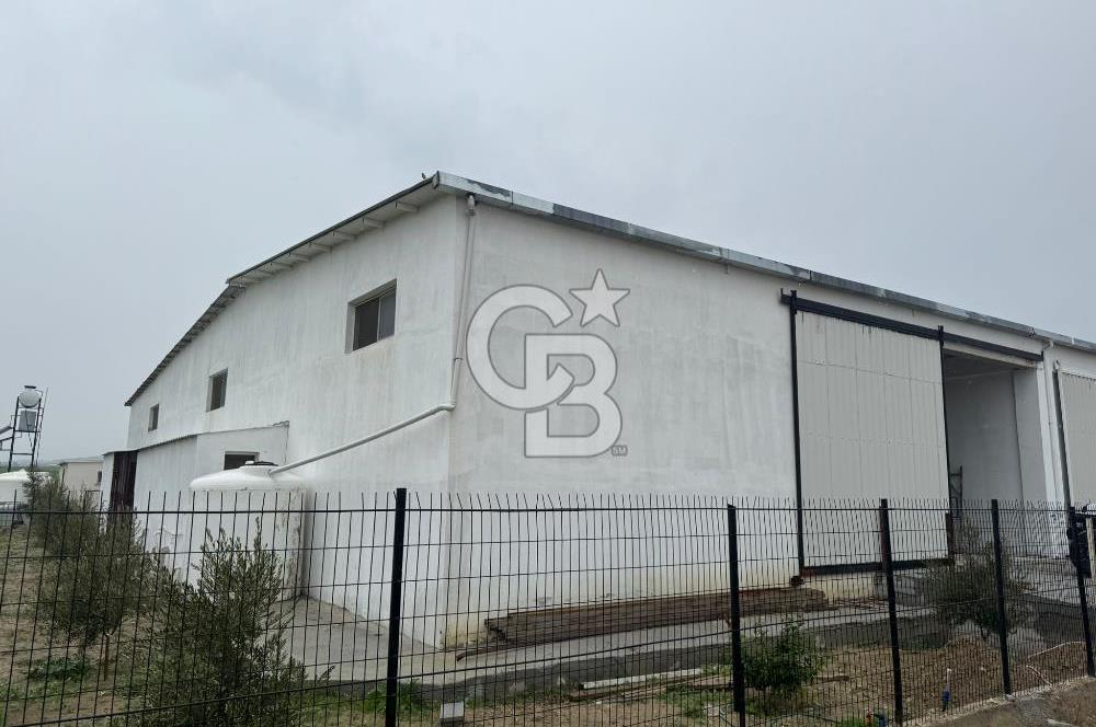 Haspolat Sanayide Aylık Ödemeli Kiralık Depo !!!