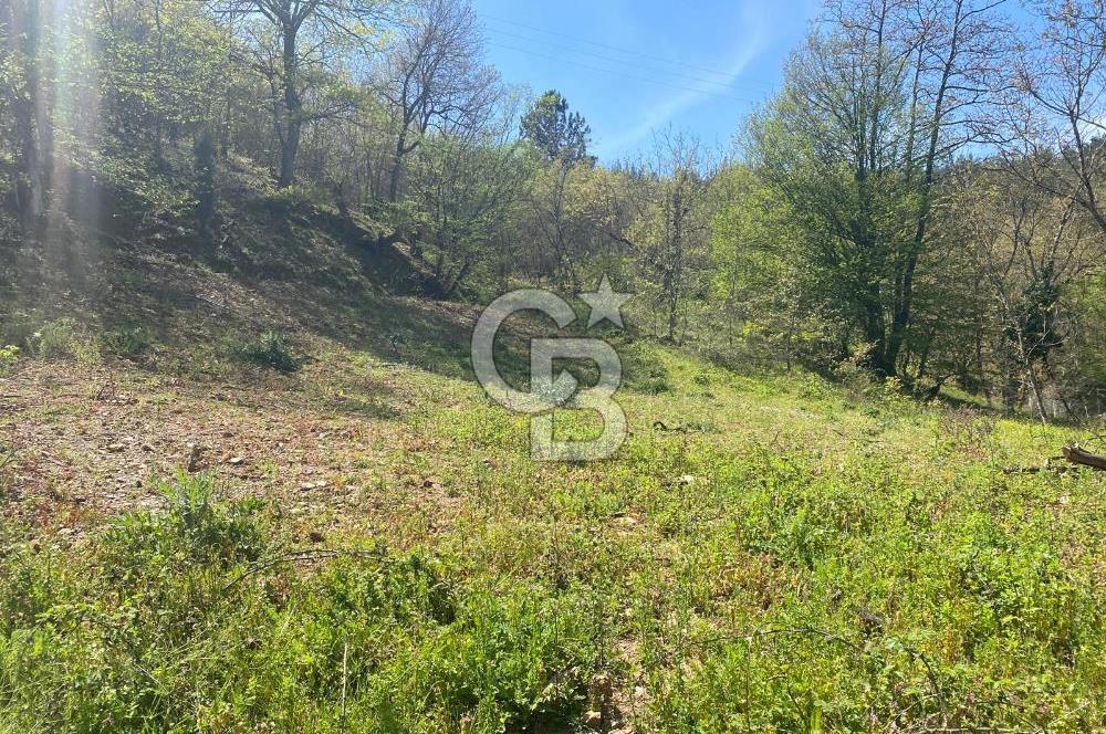 çan terzialan köyünde satılık 362m2 bahçe