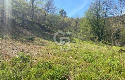 çan terzialan köyünde satılık 362m2 bahçe