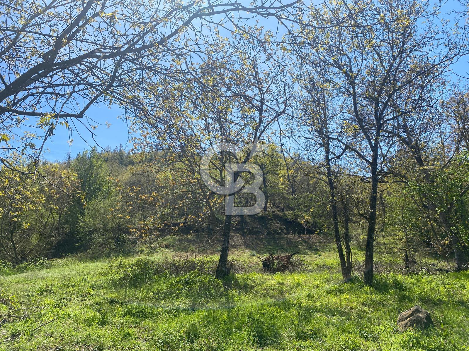 çan terzialan köyünde satılık 362m2 bahçe