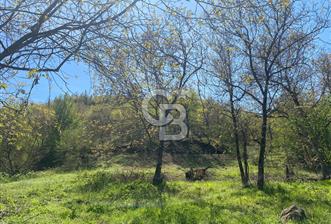 çan terzialan köyünde satılık 362m2 bahçe - 1 - 345956