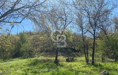 çan terzialan köyünde satılık 362m2 bahçe