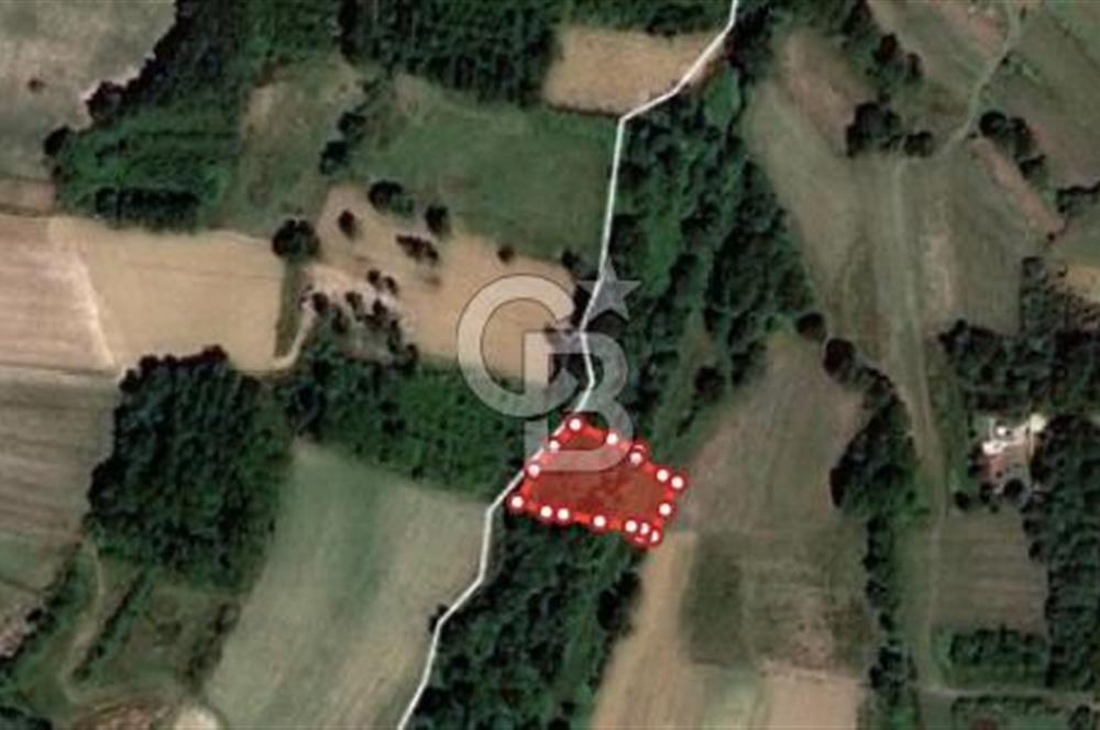 KOCAELİ KANDIRA ELMACIK KÖYÜ 1286 M2 OSB YANINDA SATILIK TARLA