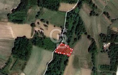 KOCAELİ KANDIRA ELMACIK KÖYÜ 1286 M2 OSB YANINDA SATILIK TARLA