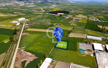 CB EAGLE'dan KÖSELERDE 1.208m² MÜCAVİR ALANI İÇİNDE SATILIK ARSA