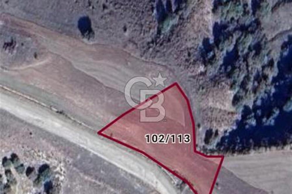 KÜTAHYA GEDİZ ÇELTİKÇİ'DE CB İYA'DAN SATILIK TEK TAPU TARLA