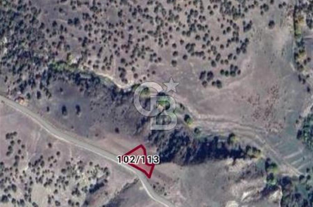 KÜTAHYA GEDİZ ÇELTİKÇİ'DE CB İYA'DAN SATILIK TEK TAPU TARLA