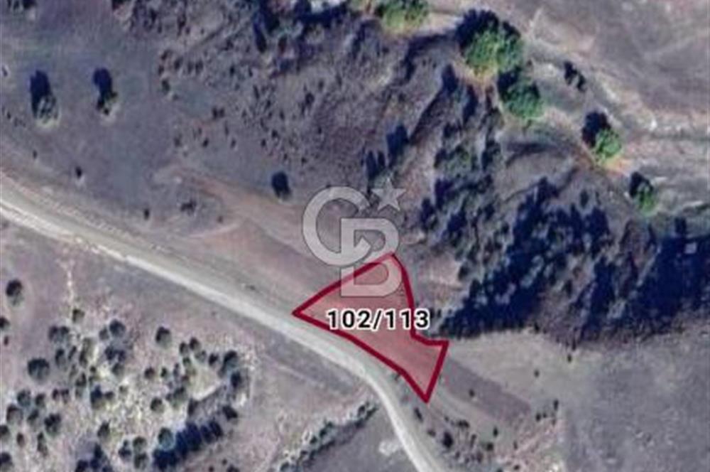 KÜTAHYA GEDİZ ÇELTİKÇİ'DE CB İYA'DAN SATILIK TEK TAPU TARLA