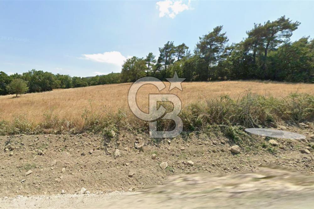 Lapseki Hacıgelen Köyünde Yolu Açılmış Satılık Tarla