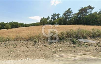 Lapseki Hacıgelen Köyünde Yolu Açılmış Satılık Tarla