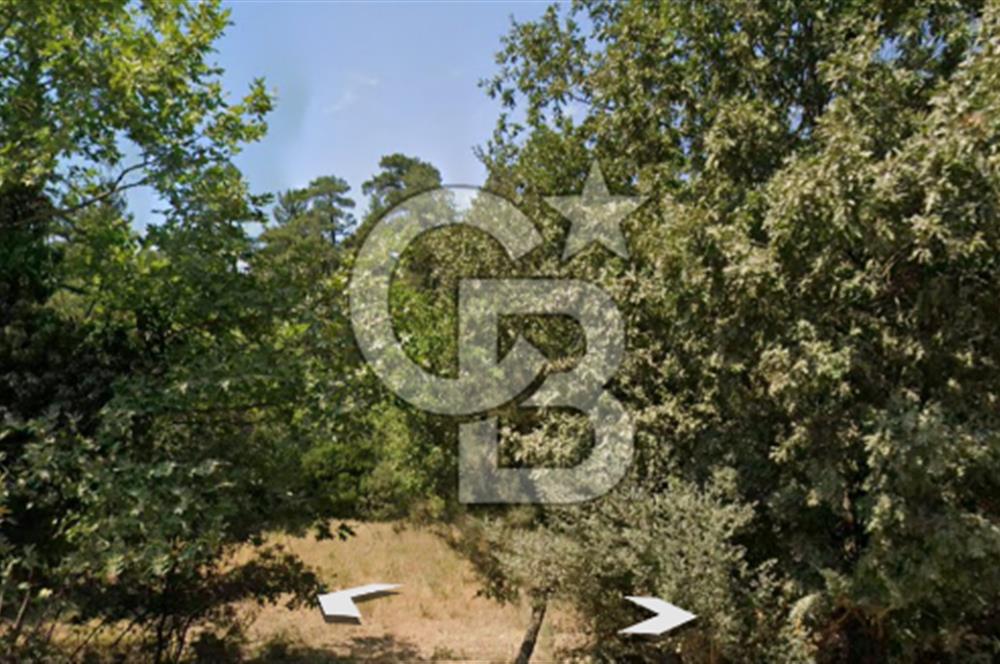 Lapseki Hacıgelen Köyünde Yolu Açılmış Satılık Tarla