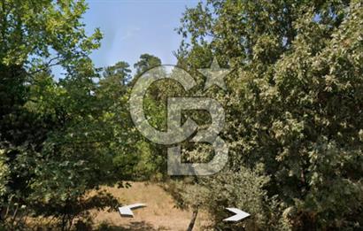 Lapseki Hacıgelen Köyünde Yolu Açılmış Satılık Tarla