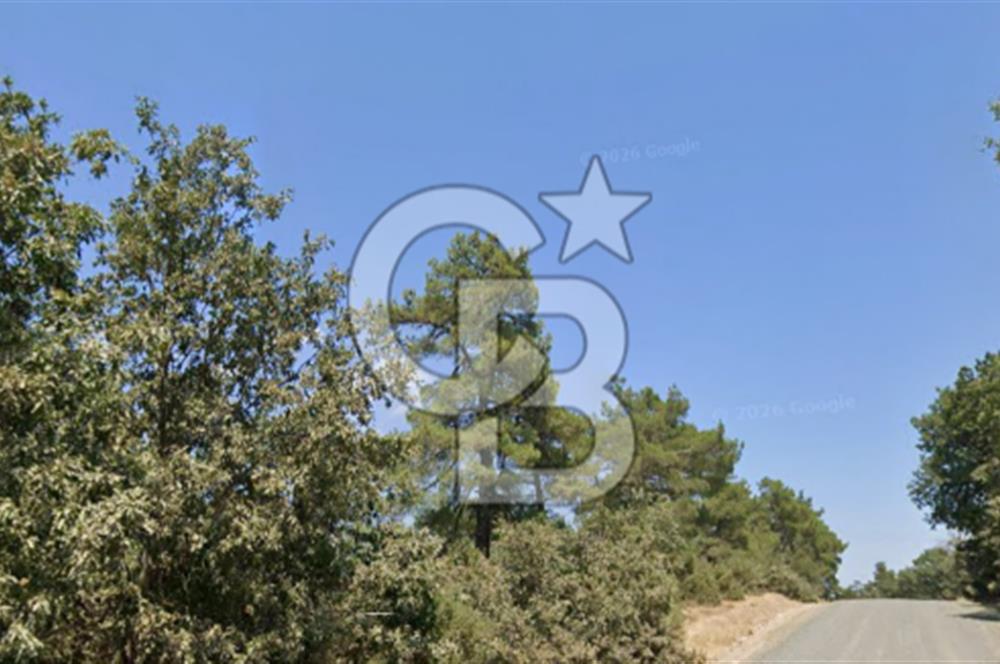 Lapseki Hacıgelen Köyünde Yolu Açılmış Satılık Tarla