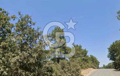 Lapseki Hacıgelen Köyünde Yolu Açılmış Satılık Tarla