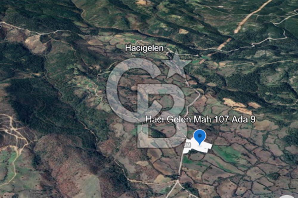 Lapseki Hacıgelen Köyünde Yolu Açılmış Satılık Tarla