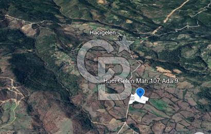 Lapseki Hacıgelen Köyünde Yolu Açılmış Satılık Tarla