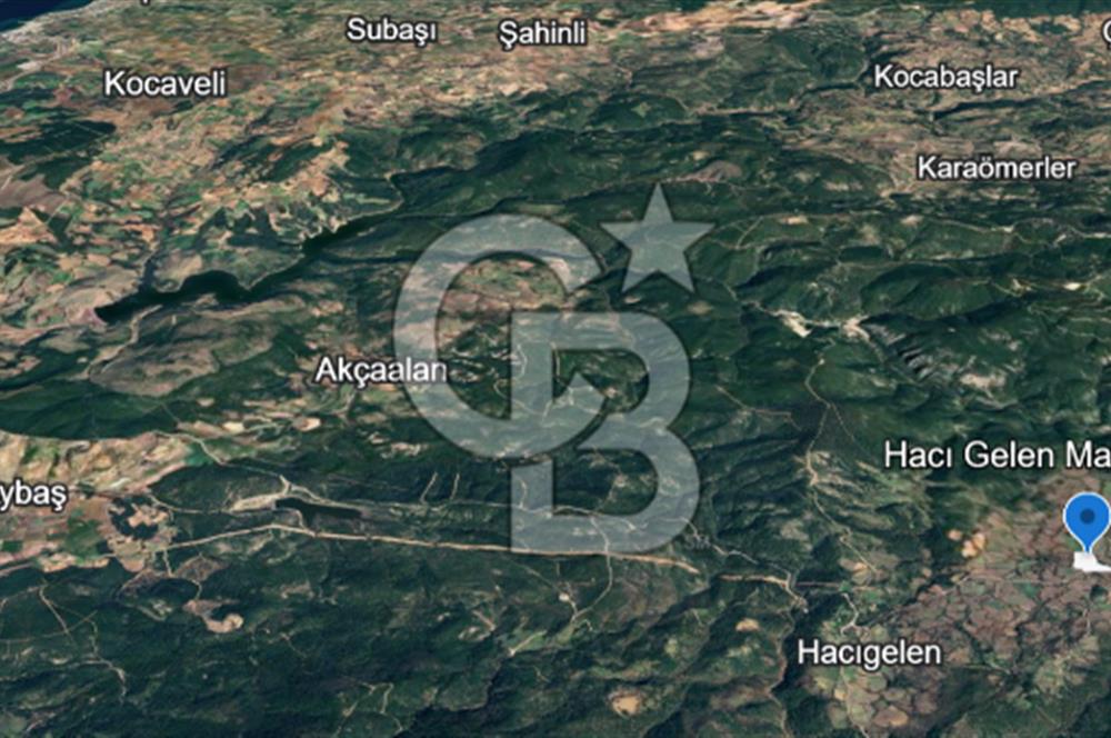 Lapseki Hacıgelen Köyünde Yolu Açılmış Satılık Tarla