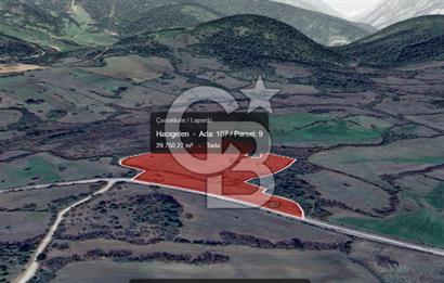 Lapseki Hacıgelen Köyünde Yolu Açılmış Satılık Tarla