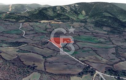 Lapseki Hacıgelen Köyünde Yolu Açılmış Satılık Tarla