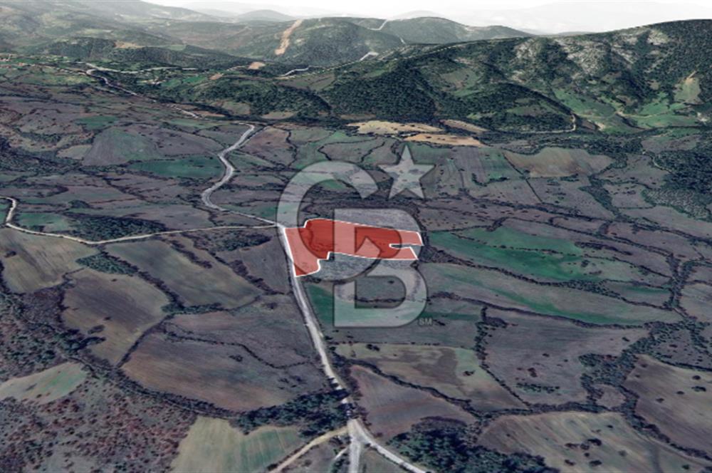 Lapseki Hacıgelen Köyünde Yolu Açılmış Satılık Tarla