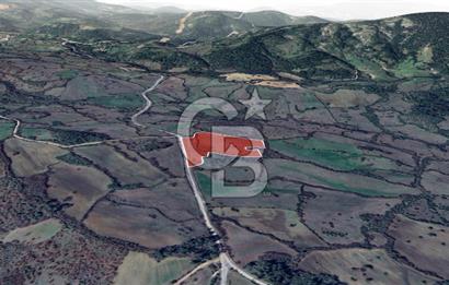 Lapseki Hacıgelen Köyünde Yolu Açılmış Satılık Tarla